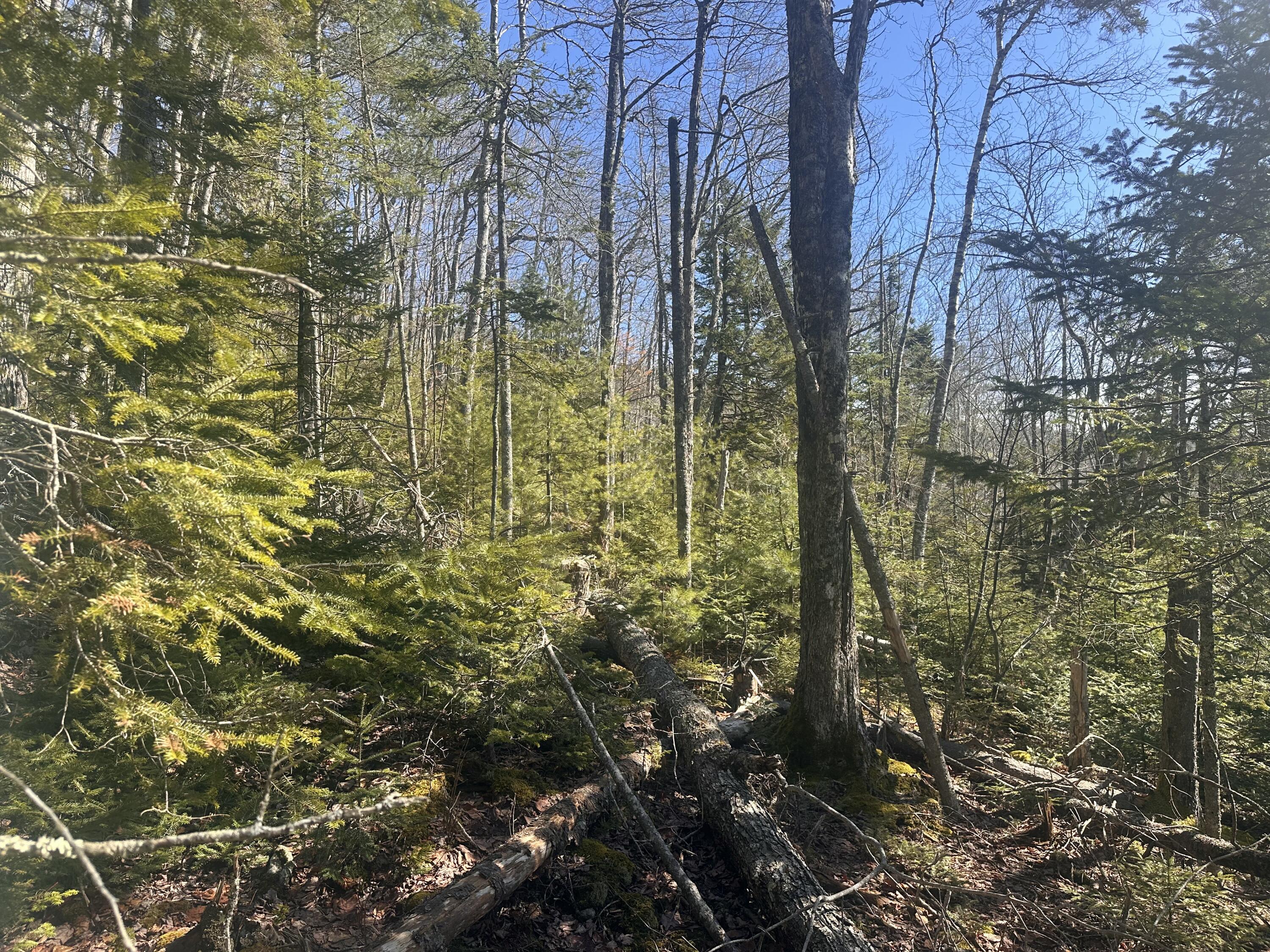 237 Knights Pond Road Northport ME 04849