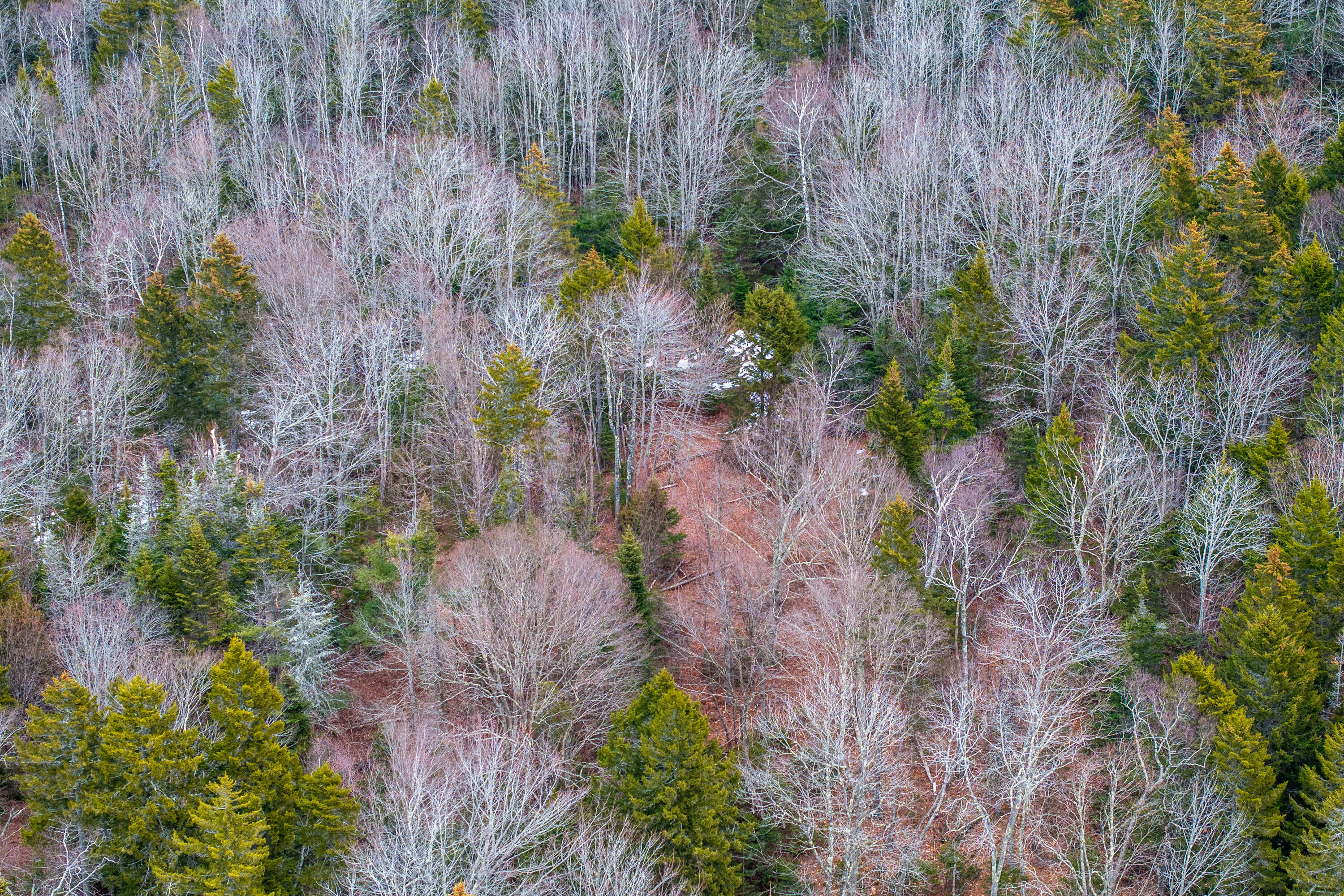 237 Knights Pond Road Northport ME 04849