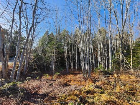 35 Trout Brook Lane Searsport ME 04974