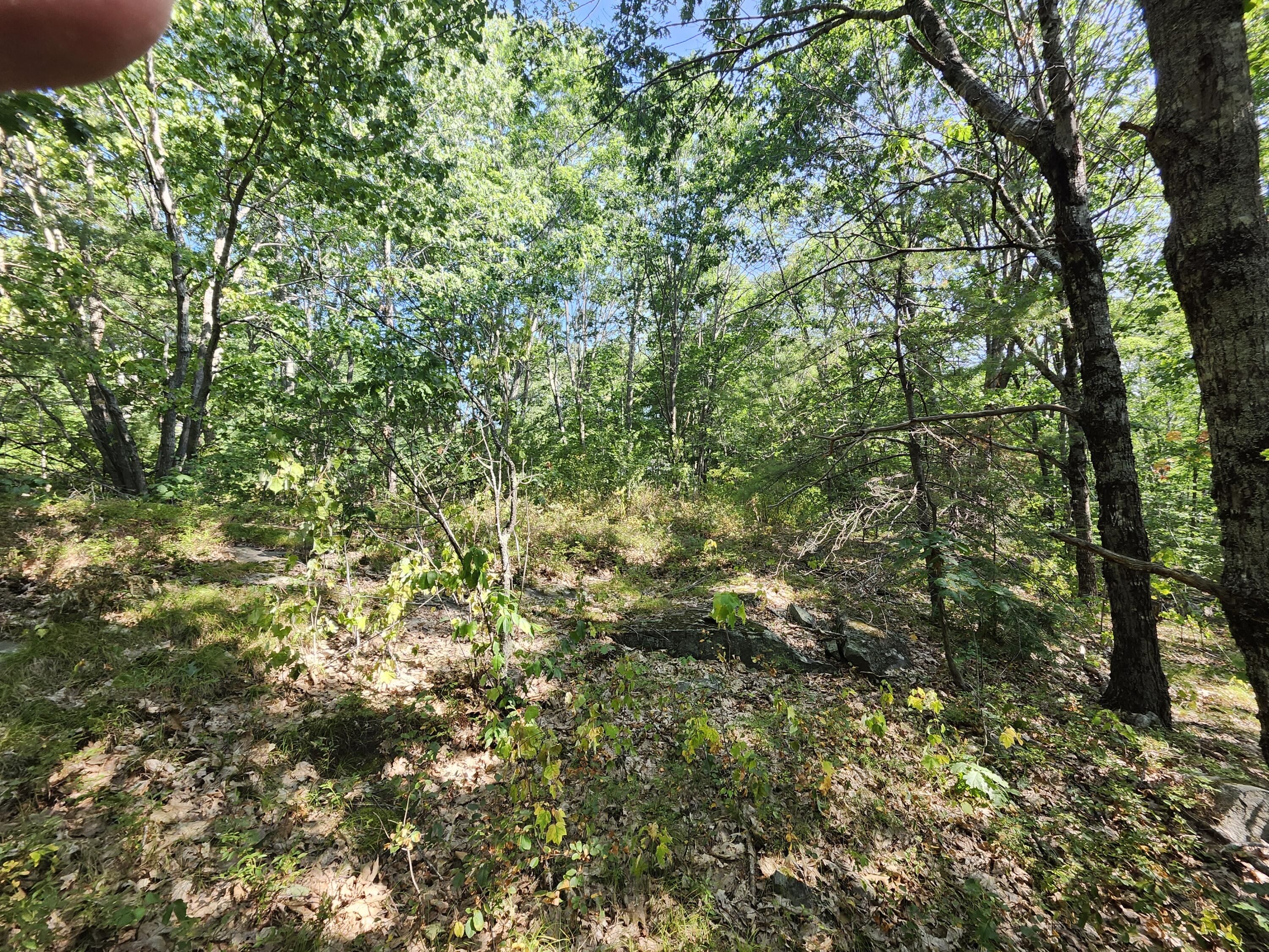 055 Wiscasset Road Whitefield ME 04353