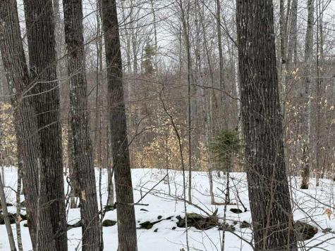 Lot 005 Greenwood Brook Road Industry ME 04938