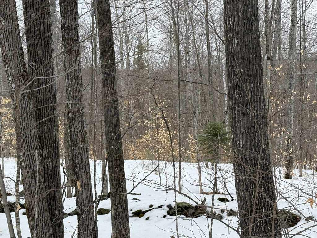 Lot 005 Greenwood Brook Road Industry ME 04938