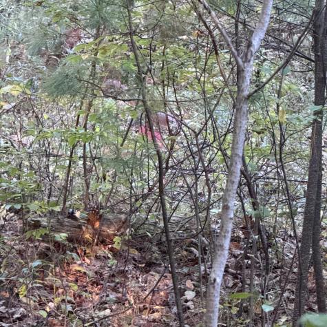 24-4,25-10 Chapman Lane Kennebunk ME 04043