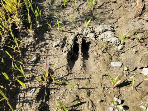 Tbd Chesterville Road Jay ME 04239