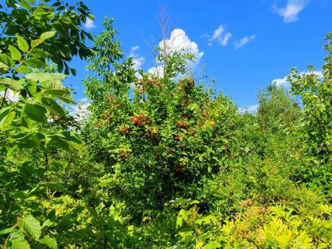 Tbd Chesterville Road Jay ME 04239