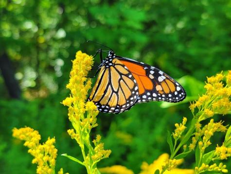 Tbd Chesterville Road Jay ME 04239