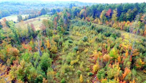 Tbd Chesterville Road Jay ME 04239