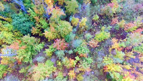 Tbd Chesterville Road Jay ME 04239