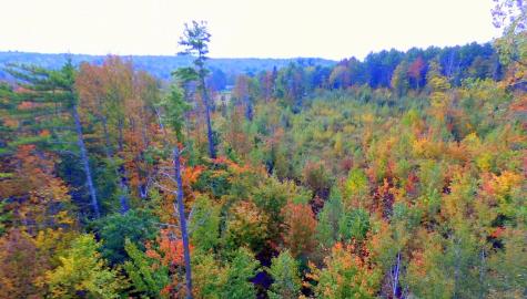 Tbd Chesterville Road Jay ME 04239