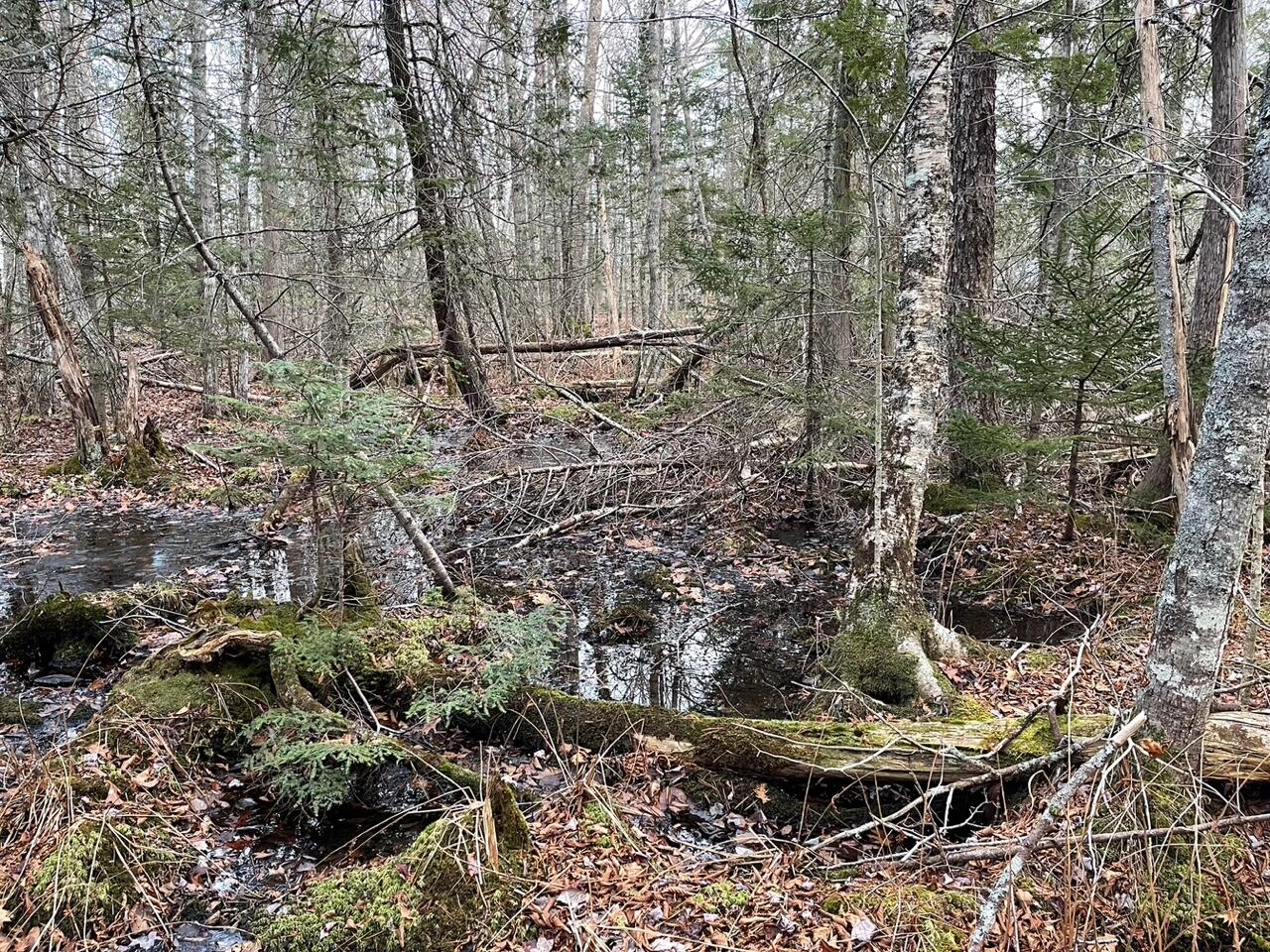 223 Priest Road Northport ME 04849