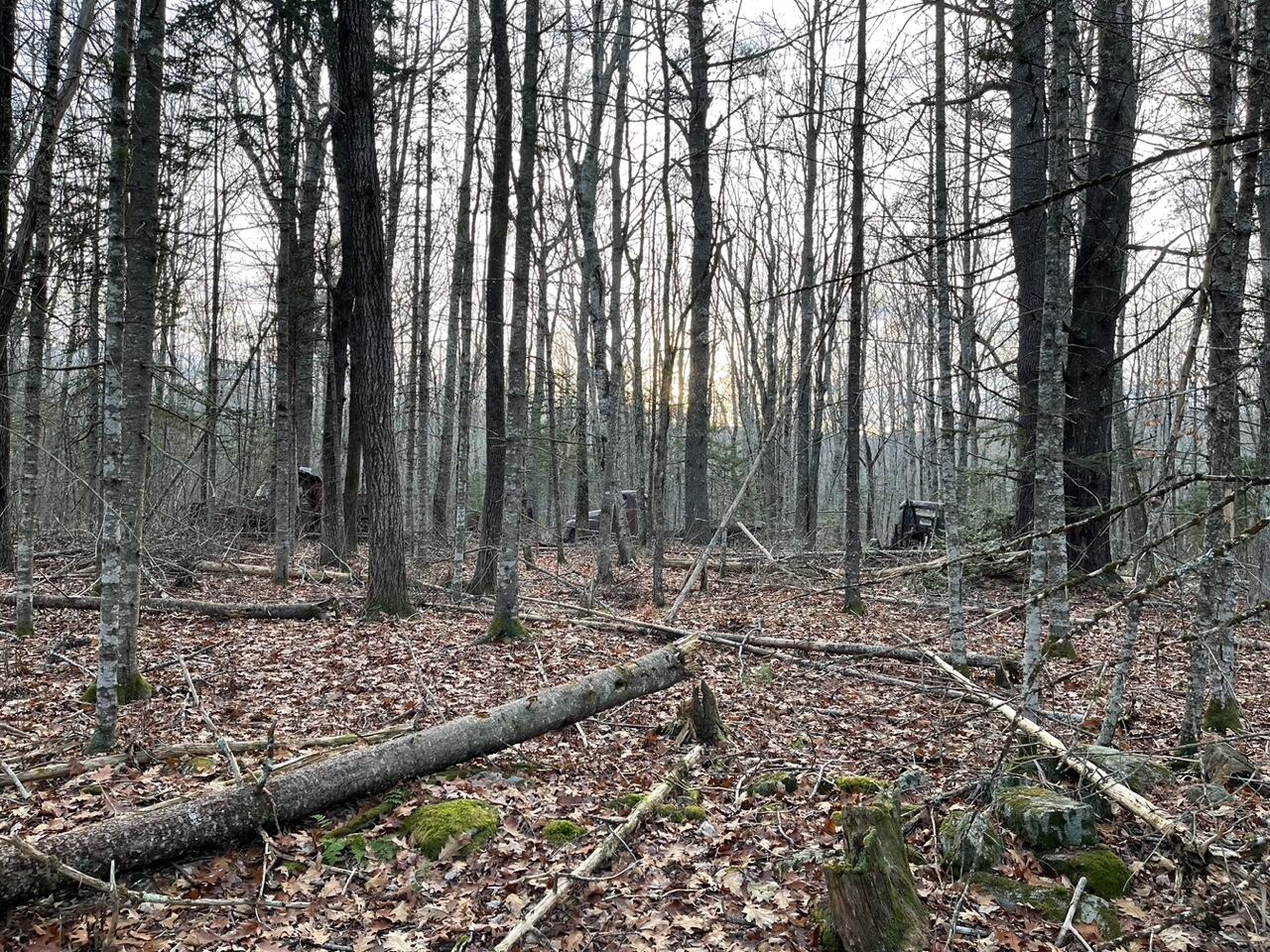 223 Priest Road Northport ME 04849