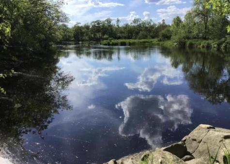 Lot 10 Us-1 Baring Plt ME 04694