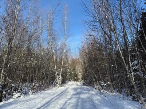 Lot 10 Us-1 Baring Plt ME 04694