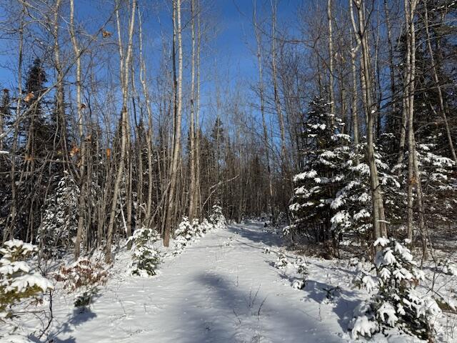 Lot 10 Us-1 Baring Plt ME 04694