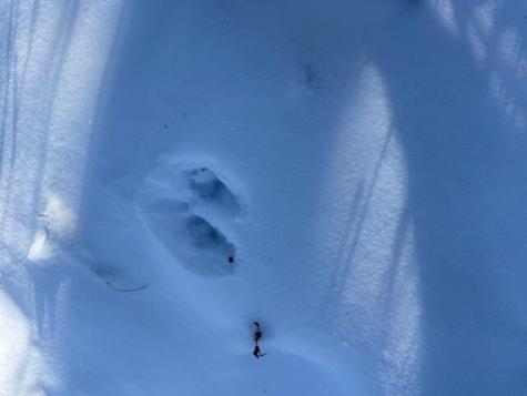 Lot 10 Us-1 Baring Plt ME 04694