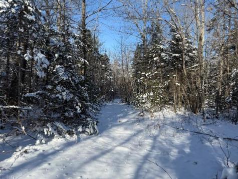 Lot 10 Us-1 Baring Plt ME 04694