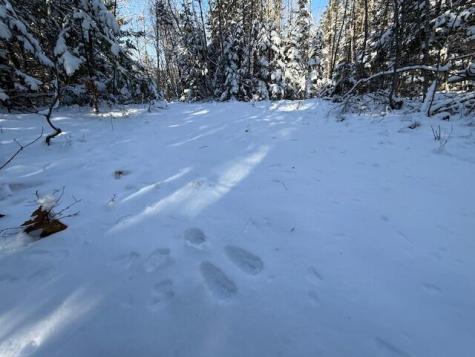 Lot 10 Us-1 Baring Plt ME 04694