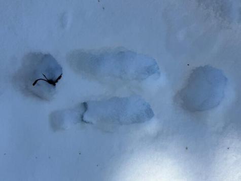 Lot 10 Us-1 Baring Plt ME 04694