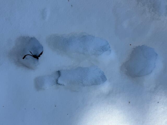 Lot 10 Us-1 Baring Plt ME 04694