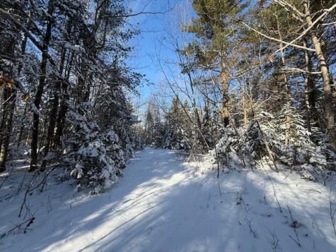 Lot 10 Us-1 Baring Plt ME 04694