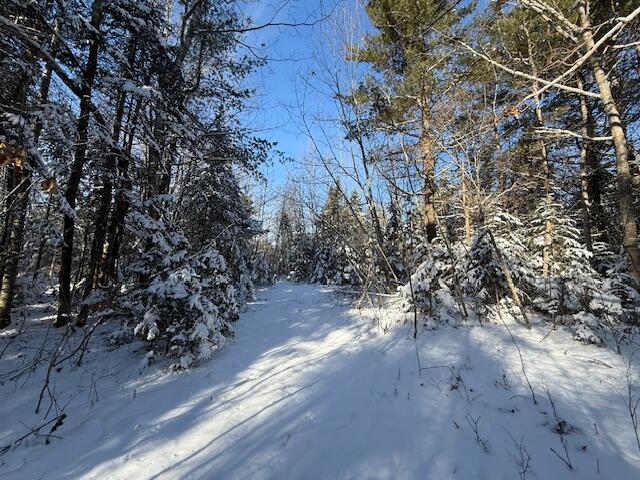 Lot 10 Us-1 Baring Plt ME 04694