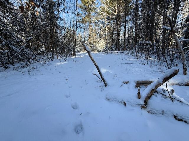 Lot 10 Us-1 Baring Plt ME 04694