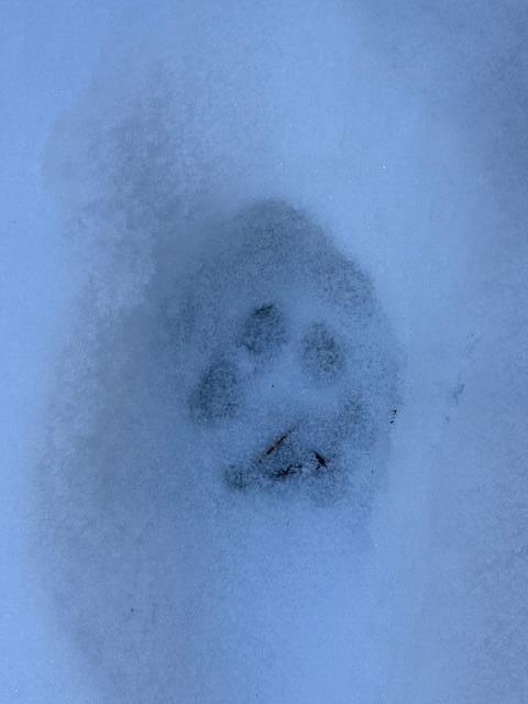 Lot 10 Us-1 Baring Plt ME 04694