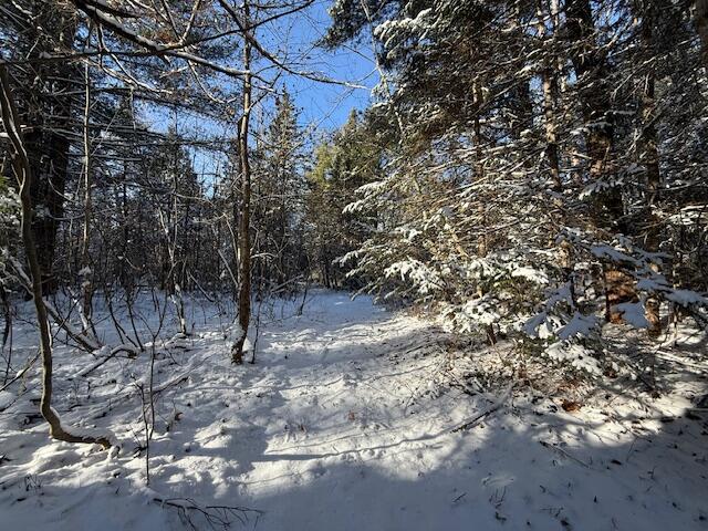 Lot 10 Us-1 Baring Plt ME 04694