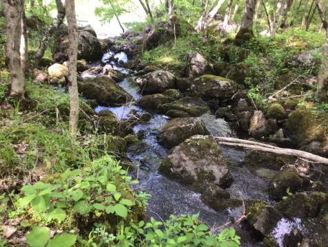 Lot 10 Us-1 Baring Plt ME 04694