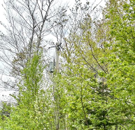 Lot 14 Black Bear Drive Otis ME 04605