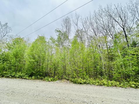 Lot 14 Black Bear Drive Otis ME 04605