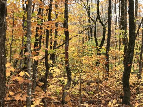 Lot 24 Currie Road Mount Chase ME 04765