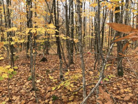 Lot 24 Currie Road Mount Chase ME 04765