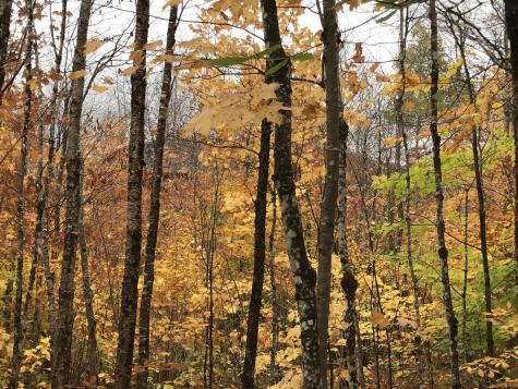 Lot 24 Currie Road Mount Chase ME 04765