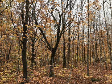 Lot 24 Currie Road Mount Chase ME 04765