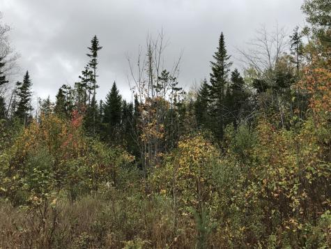 Lot 24 Currie Road Mount Chase ME 04765
