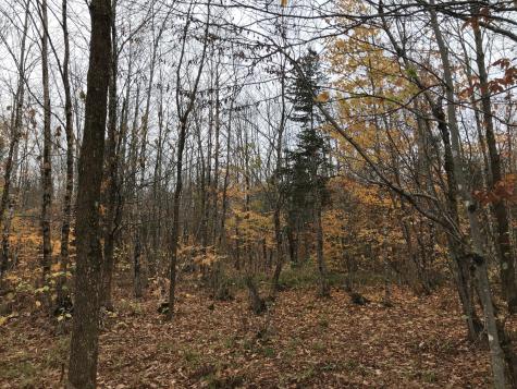 Lot 24 Currie Road Mount Chase ME 04765