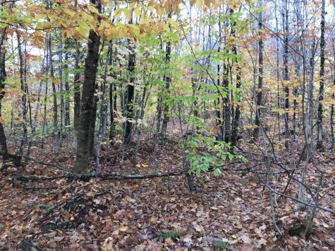 Lot 24 Currie Road Mount Chase ME 04765