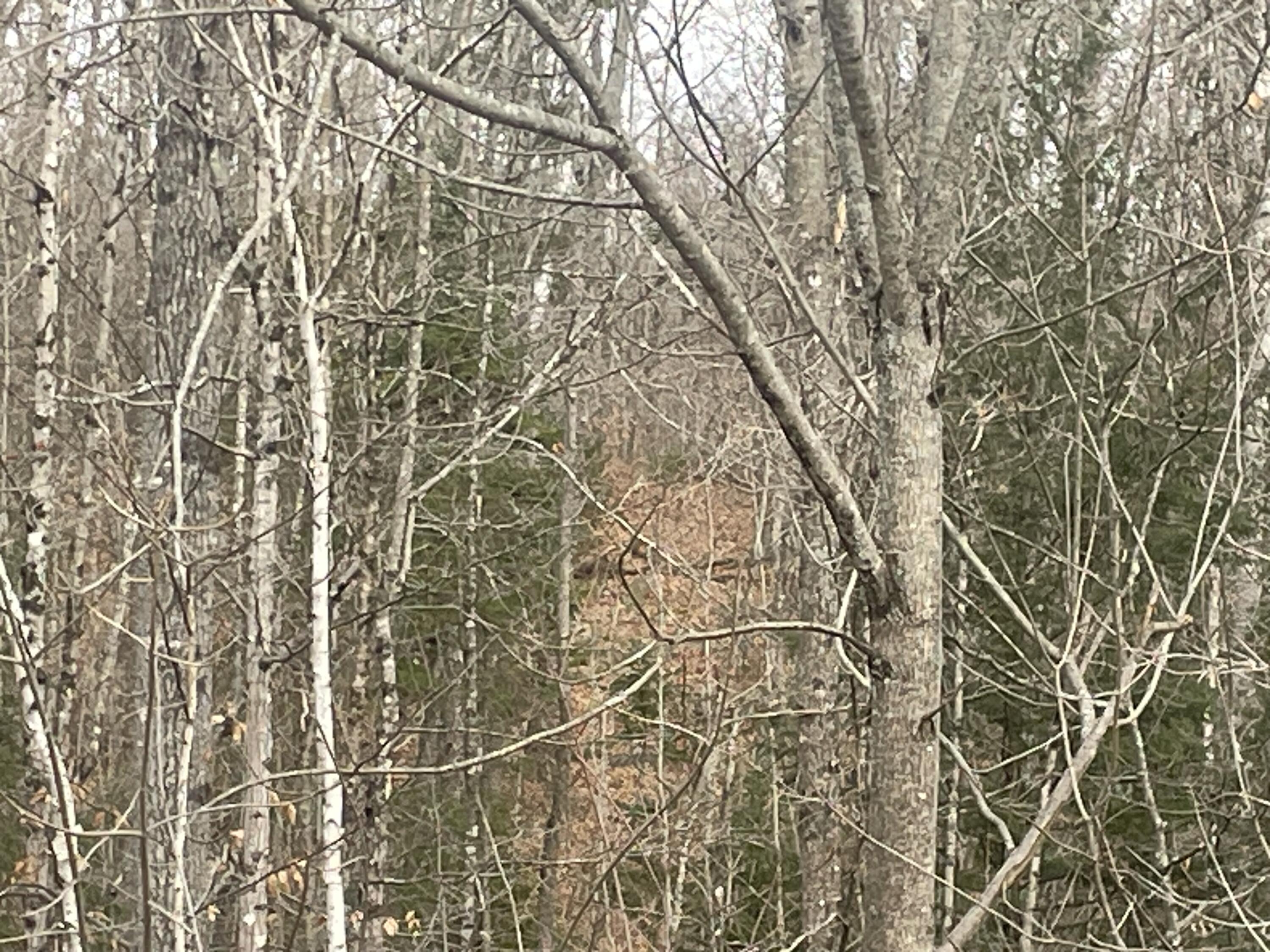 Lot 22 Roxbury Notch Road Roxbury ME 04275
