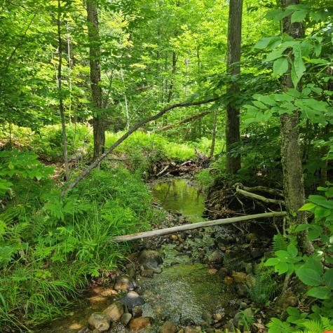 40 Bubier Road Wilton ME 04294