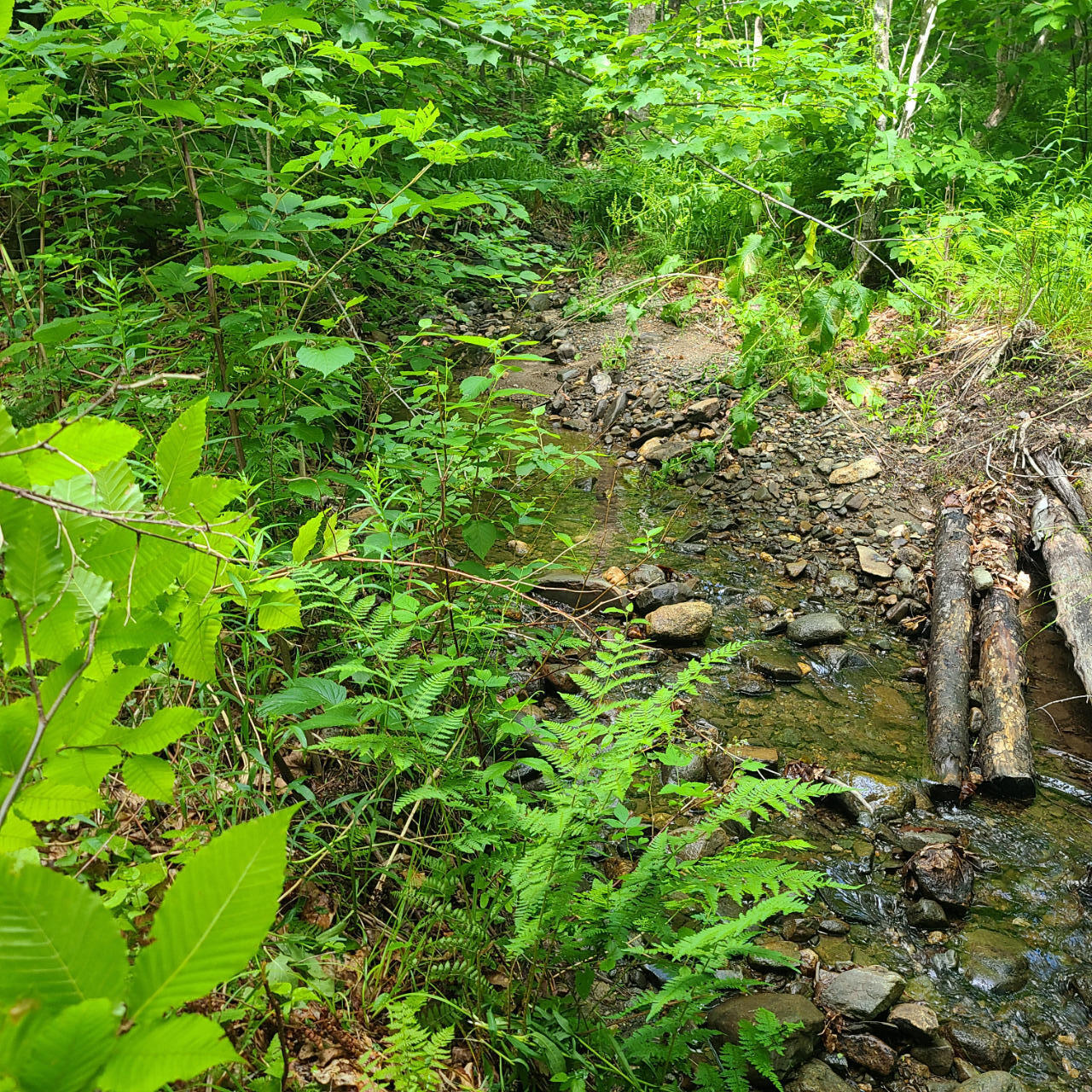 40 Bubier Road Wilton ME 04294