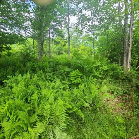 40 Bubier Road Wilton ME 04294