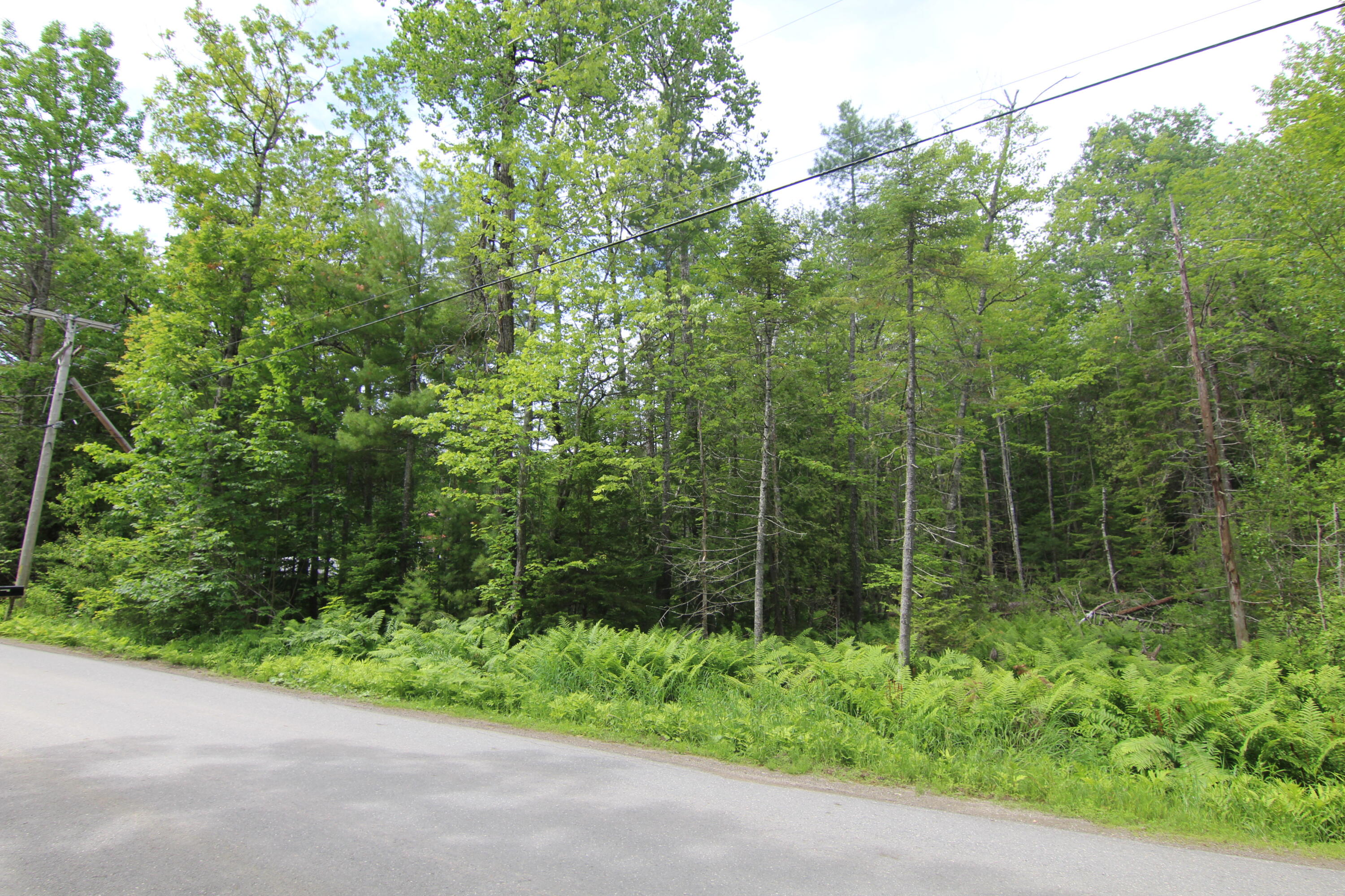 Lot 37c Brewer Lake Road Orrington ME 04474