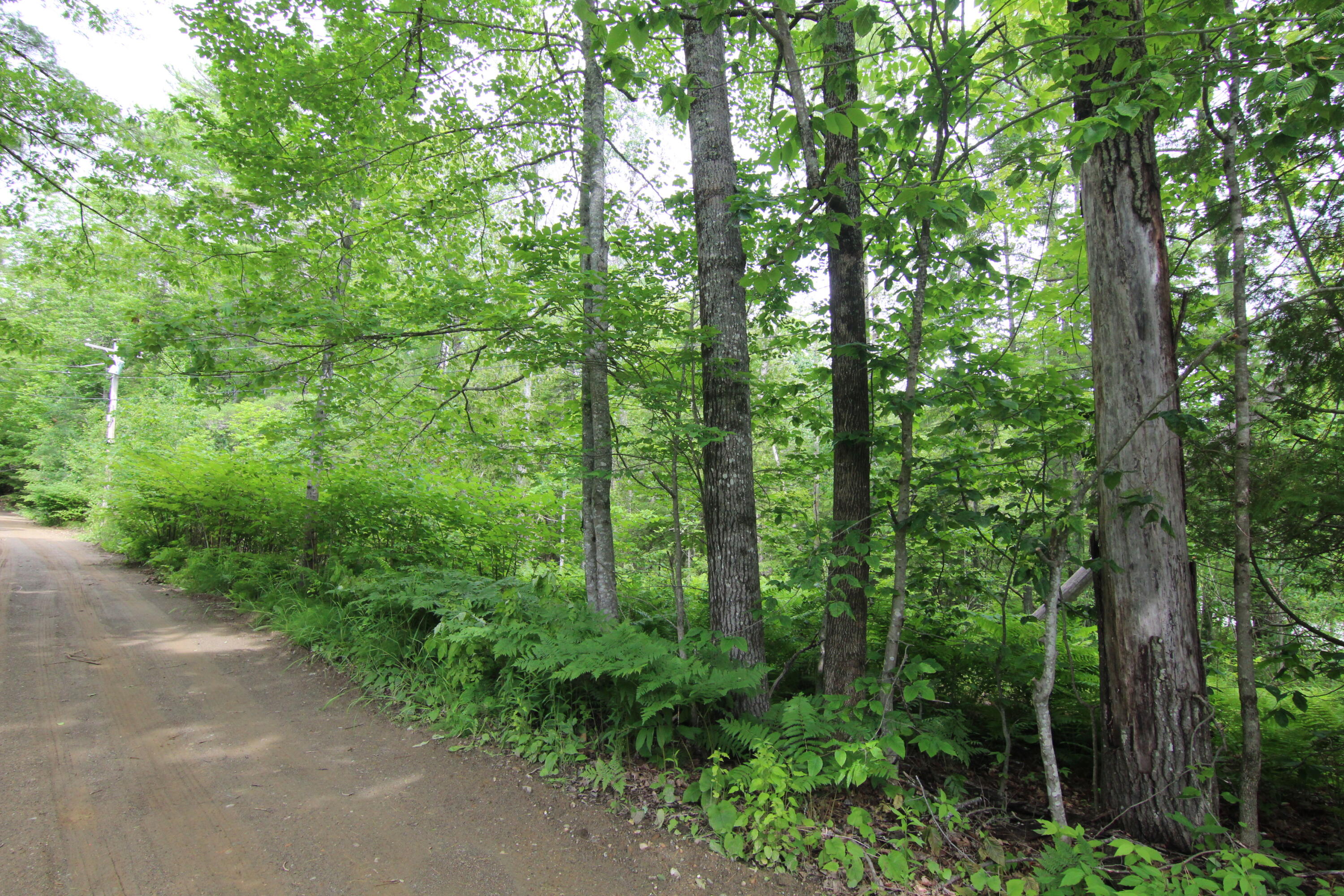 Lot 37c Brewer Lake Road Orrington ME 04474