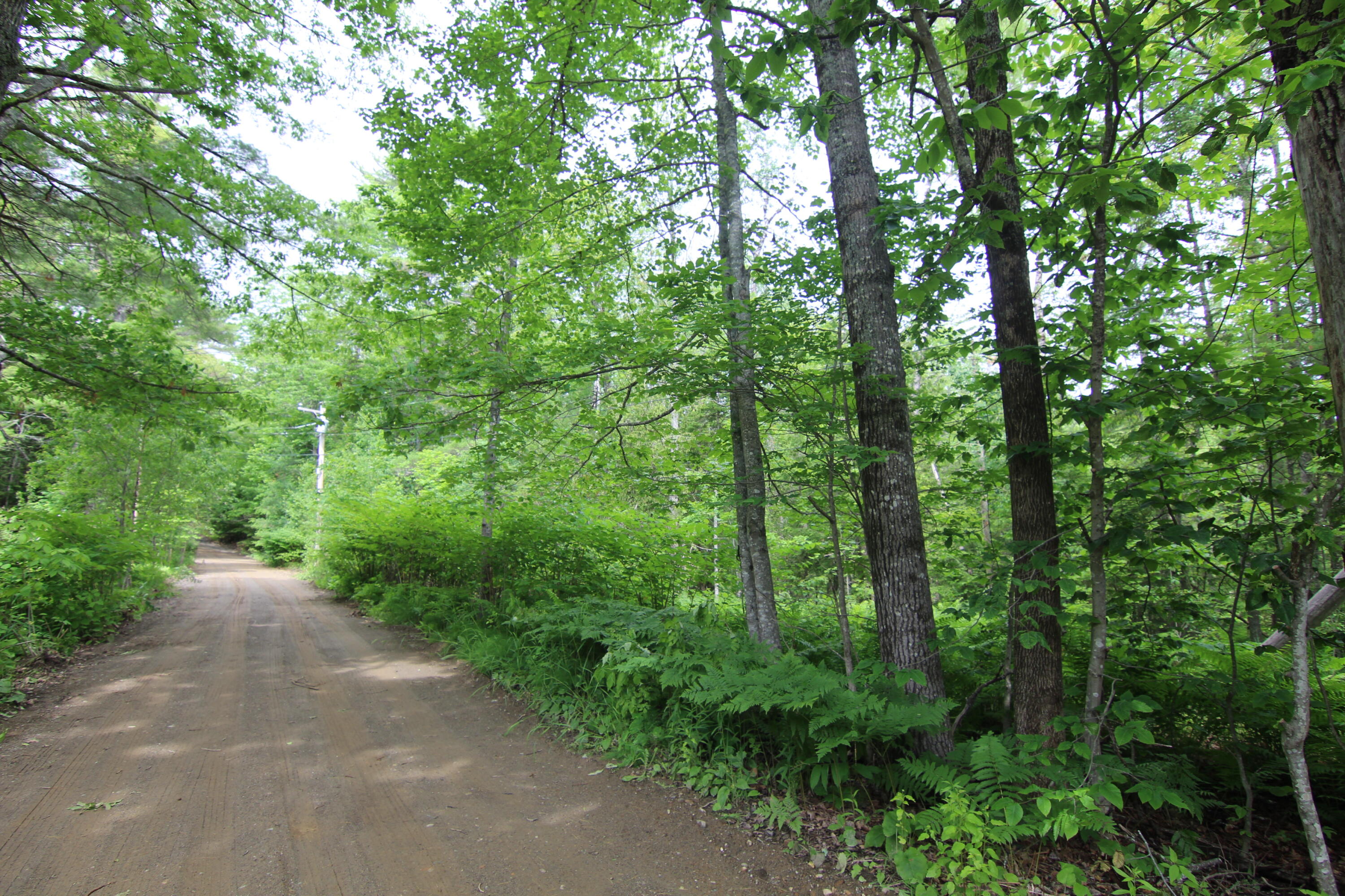 Lot 37c Brewer Lake Road Orrington ME 04474