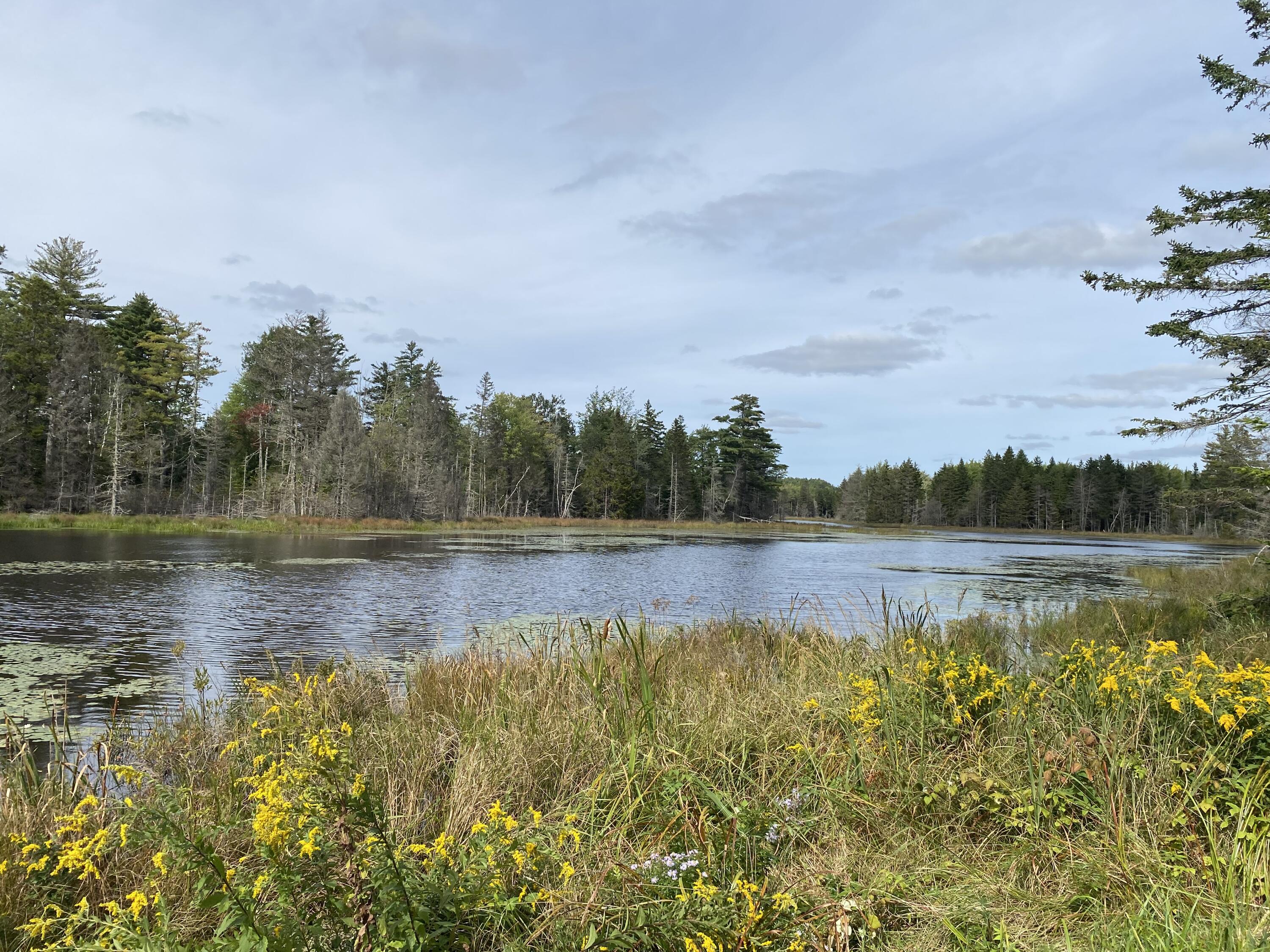 00 Route 1 Gouldsboro ME 04607