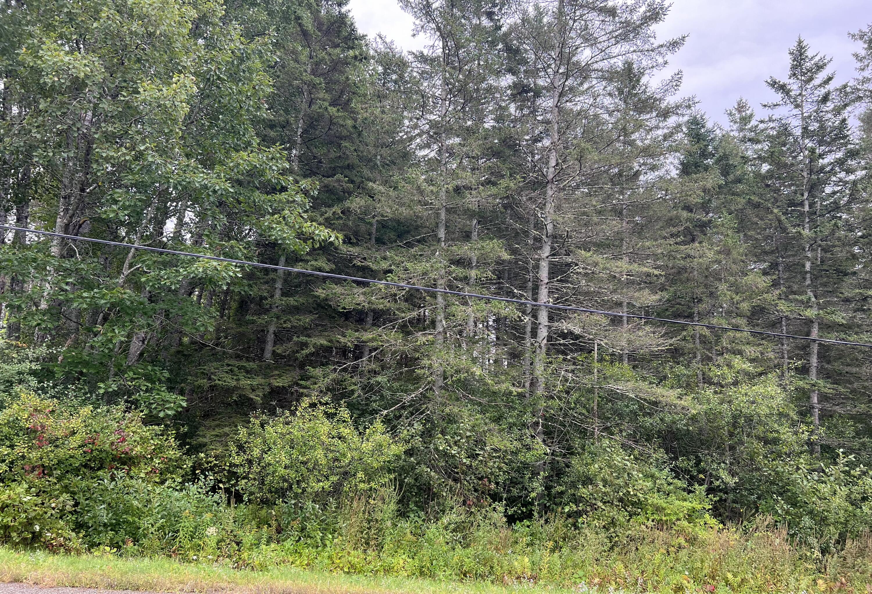 Lot 48-11 Patterson Road Hampden ME 04444