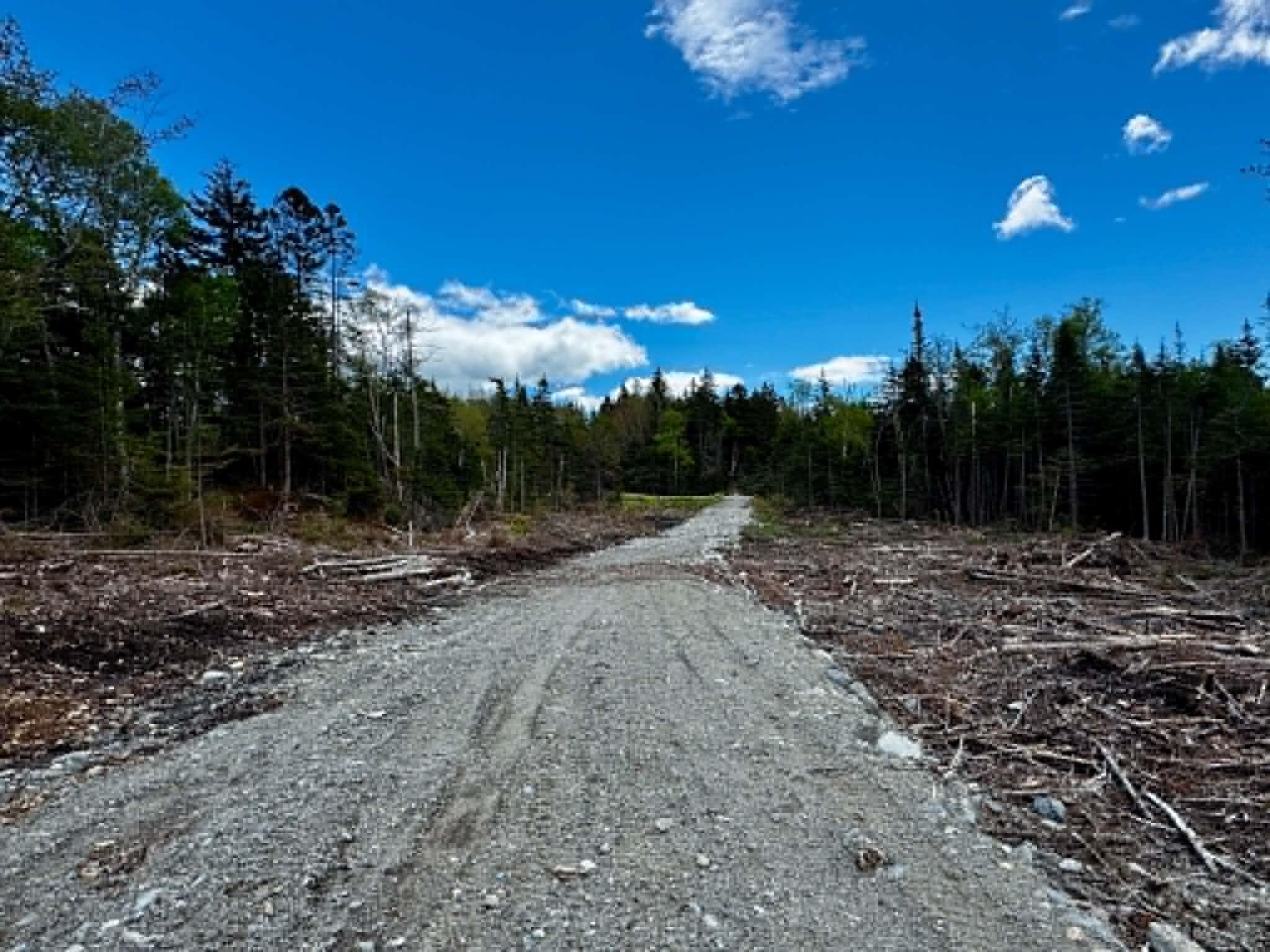 Lot 49 Port Road Machiasport ME 04655