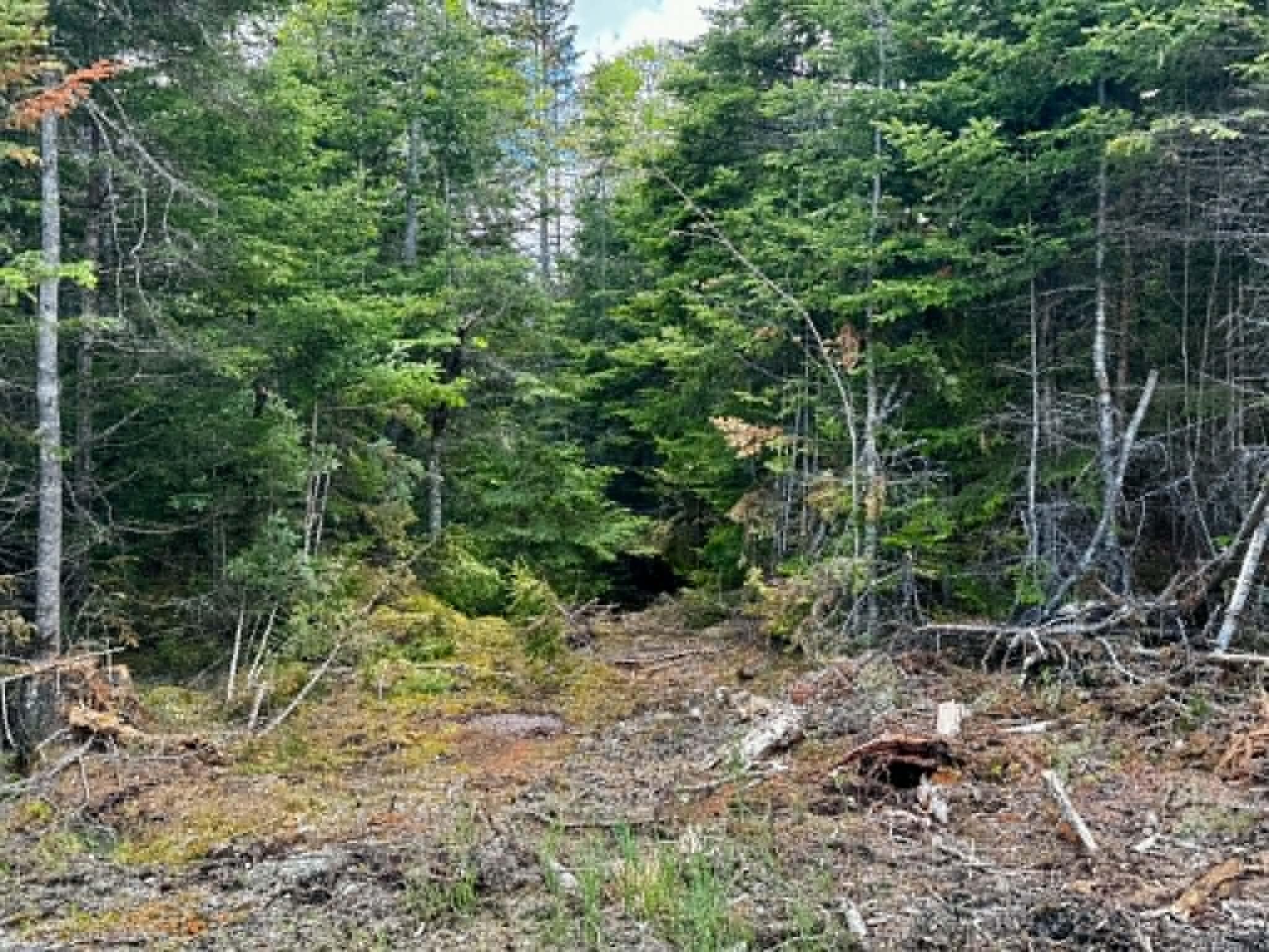 Lot 49 Port Road Machiasport ME 04655