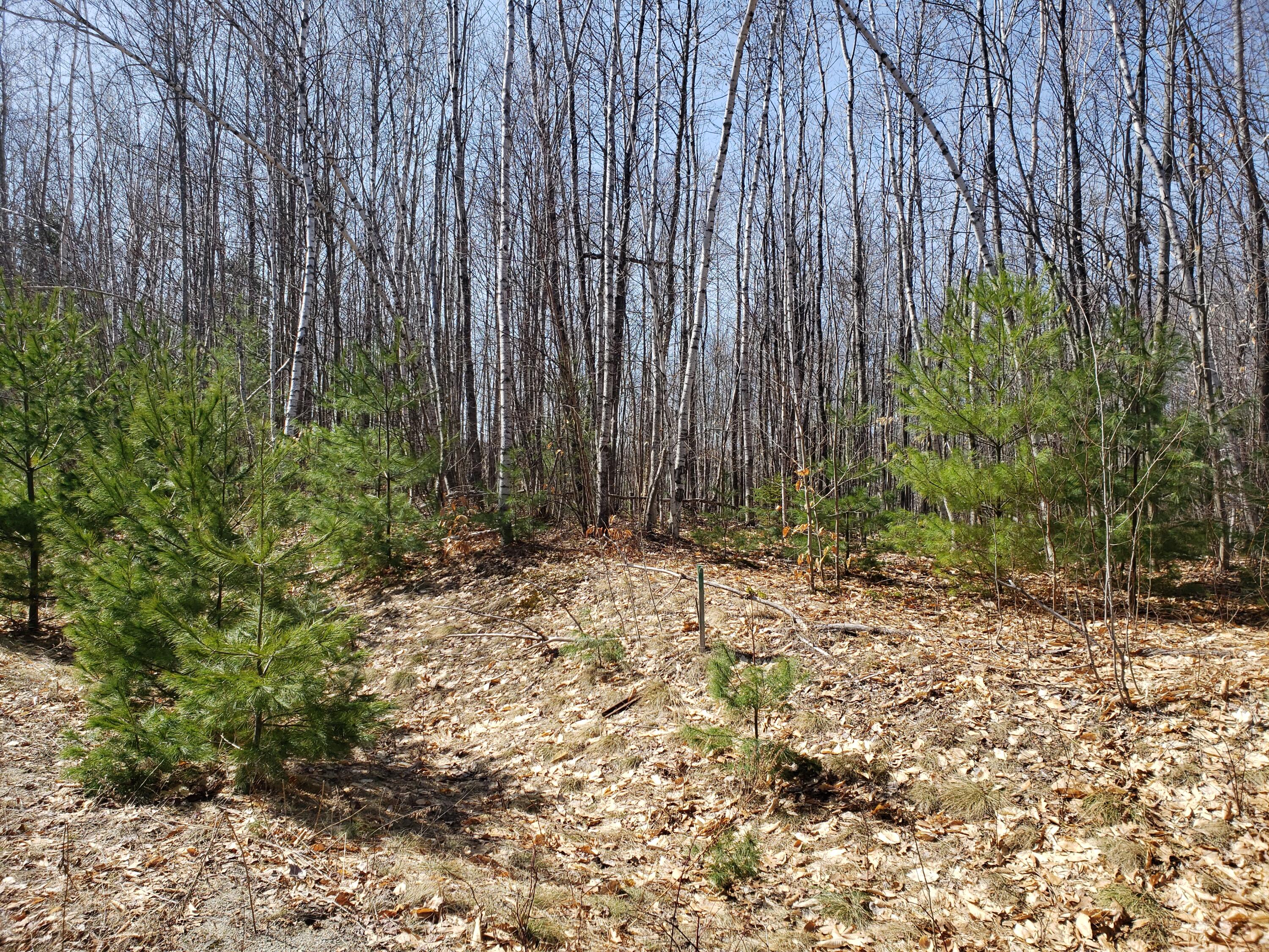 Tbd Deerfield Lot #6 Lane Farmington ME 04938